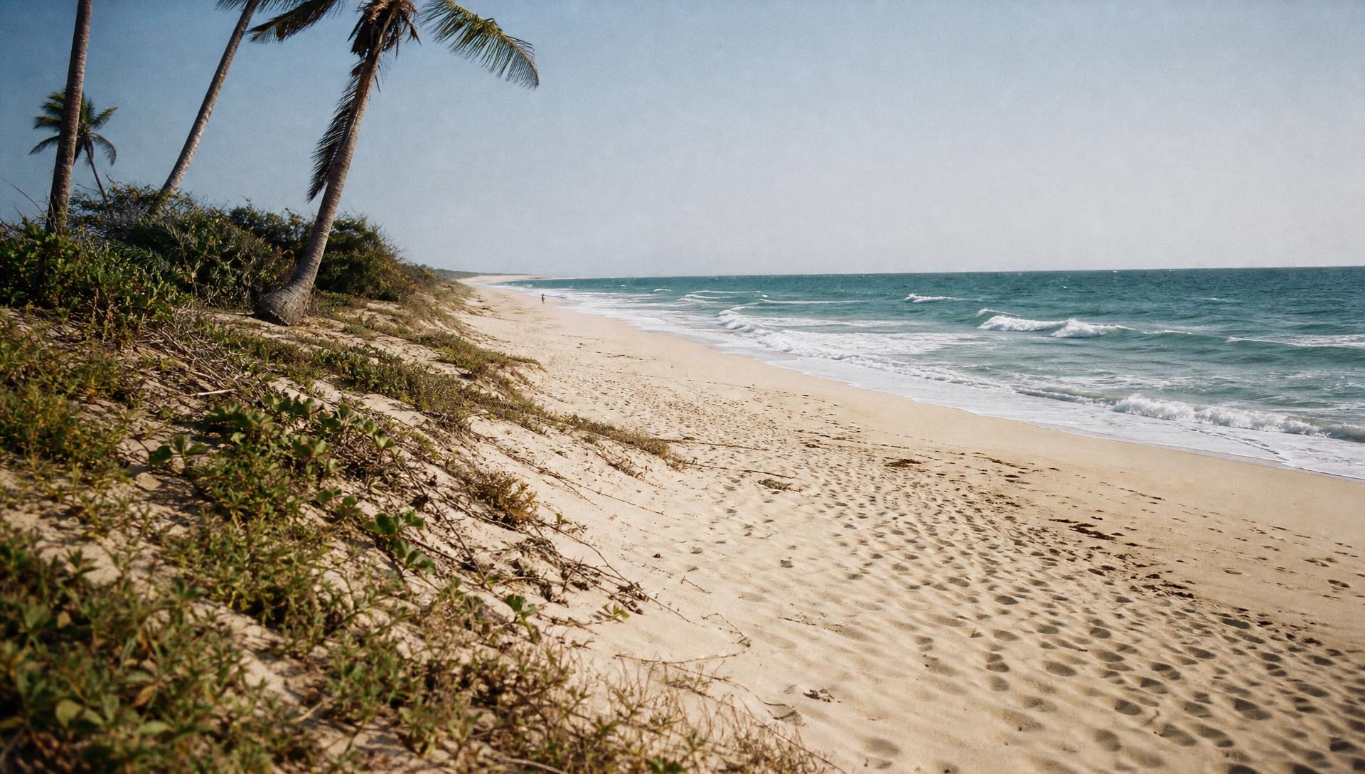 A secluded stretch of Mozambican coastline where low tropical vegetation meets the Indian Ocean